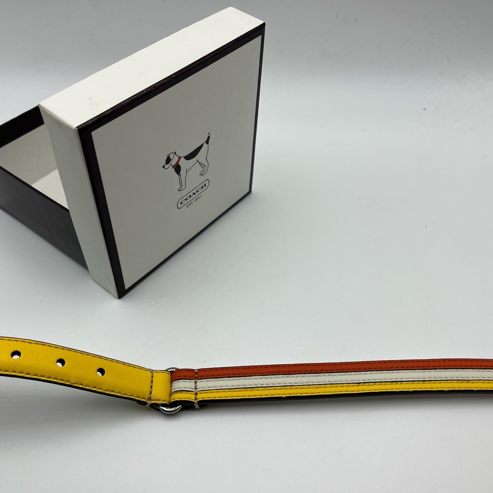 Coach Vibrant Yellow and Orange Dog Collar